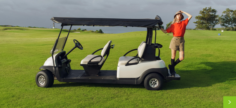 Electric Golf Cart Battery