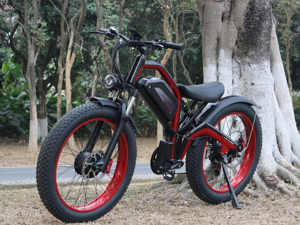 Electric bike for battery applications